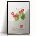 Large abstract wall art depicting assorted fruits in vibrant colors on a black acrylic framed print.