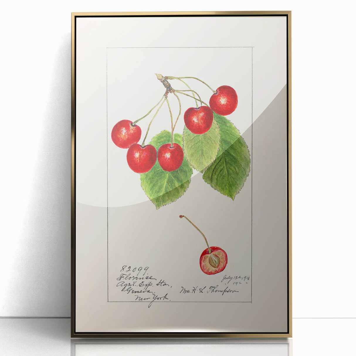 Large acrylic print of mid-century modernist fruit illustrations in vibrant colors, ideal for nursery wall decor.