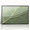 Large abstract wall art featuring vibrant floral patterns in a mid-century modernist style on a framed acrylic.