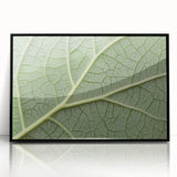 Large abstract wall art featuring vibrant floral patterns in a mid-century modernist style on a framed acrylic.