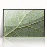 Mid-century modernist art depicting close-up floral designs in muted colors on a framed acrylic print.