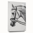 Acrylic glass art featuring a colorful side view of various animals, mounted with pins for display. Ideal for nature-themed decor in homes or offices.