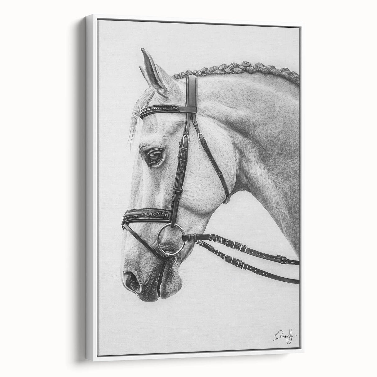 Framed canvas art featuring a vibrant animal design on a white background, showcasing intricate details and textures, ideal for modern home decor.