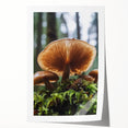 Extra large rolled print featuring close-up floral art in soft pastel shades, ideal for dining room or bathroom wall decor.