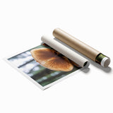 Close-up floral art on rolled print, featuring soft pink and white blooms, suitable for classy bathroom wall art.