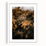 Abstract art print depicting fall scenery in muted orange and brown tones, framed with a white mat.