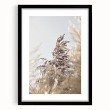 Extra large colorful abstract art print on textured canvas, featuring vibrant summer shades, framed in black.