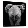 Acrylic glass display showcasing a side view of a vibrant animal design with colorful pins, ideal for modern decor and art enthusiasts. This unique piece blends artistic flair with functionality, perfect for animal lovers and interior design aficionados.