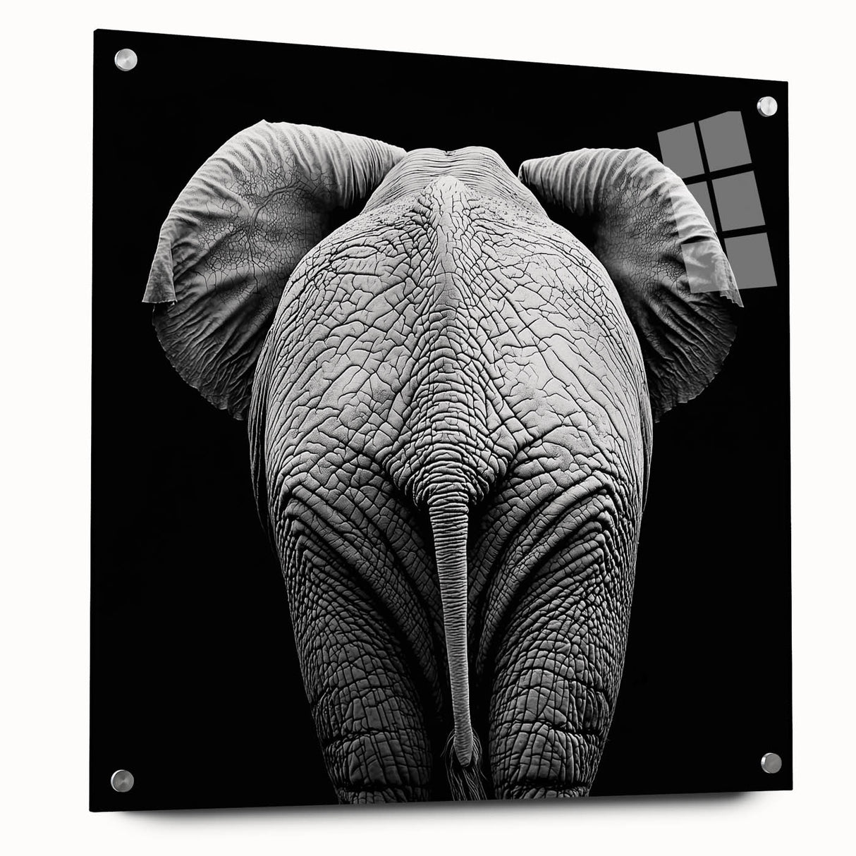 Acrylic glass display showcasing a side view of a vibrant animal design with colorful pins, ideal for modern decor and art enthusiasts. This unique piece blends artistic flair with functionality, perfect for animal lovers and interior design aficionados.