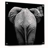 Acrylic glass display showcasing a side view of a vibrant animal design with colorful pins, ideal for modern decor and art enthusiasts. This unique piece blends artistic flair with functionality, perfect for animal lovers and interior design aficionados.