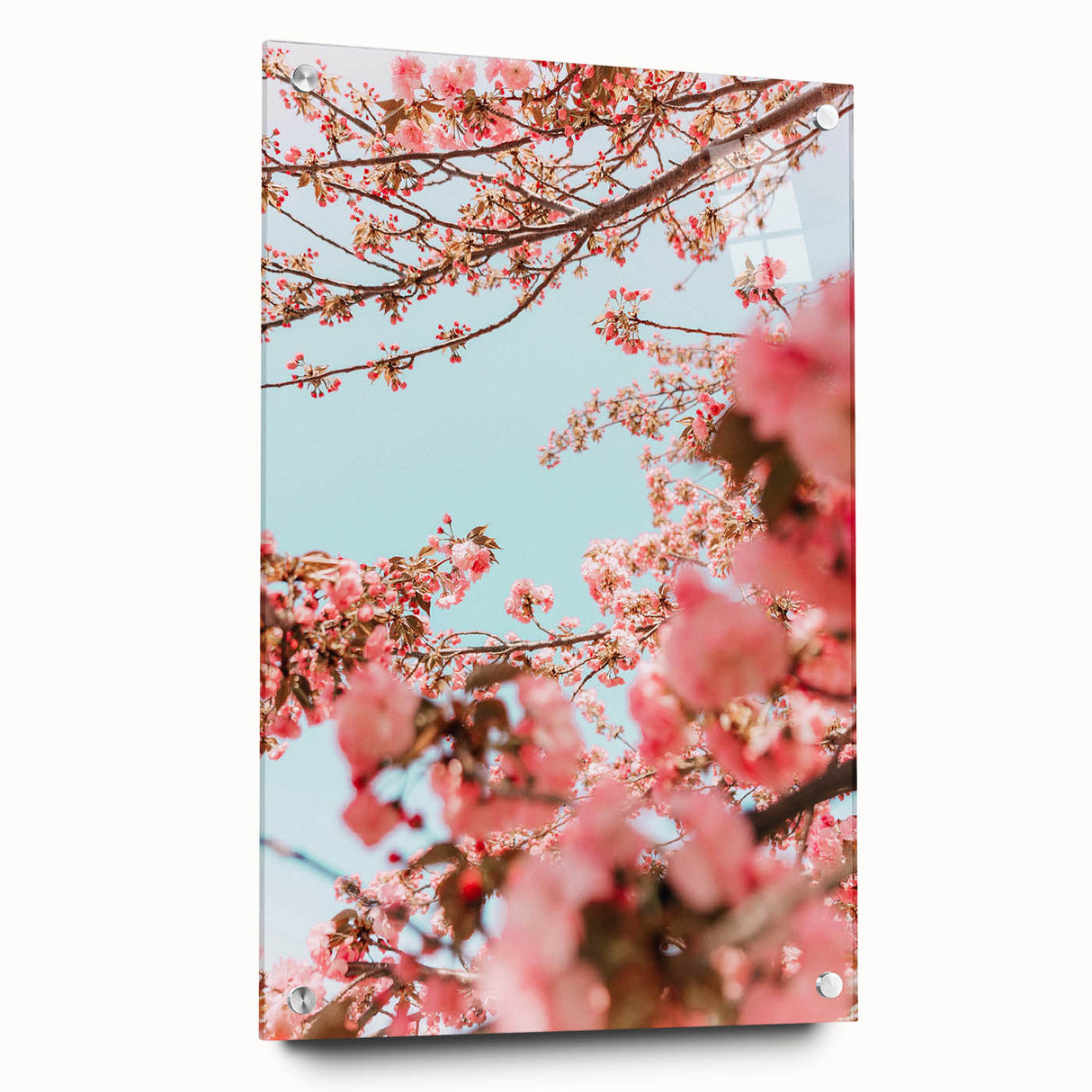 Large abstract wall art on acrylic glass depicting spring themes in soft green and pink tones.
