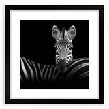 Black-framed wall art featuring a whimsical animal design, showcasing vibrant colors and intricate details, ideal for enhancing home decor with a playful touch.