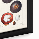 Extra large framed canvas featuring a close-up of colorful, textured fruits on a black background.