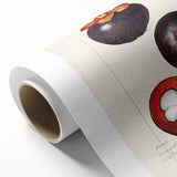 Art deco poster featuring an array of colorful fruits on rolled canvas.