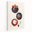 Large art featuring an array of colorful fruits on a white background, printed on stretched canvas.