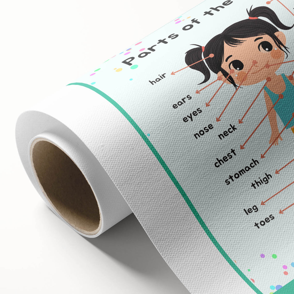 Educational Nursery Wall Decor - Parts of the Body Learning Print