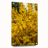 Large abstract wall art on acrylic glass depicting spring themes in pastel colors, ideal for bedroom or dining room decor.