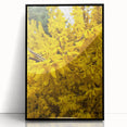 Large abstract wall art featuring fluid shapes in pastel shades on a black framed acrylic.