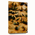 Large abstract wall art on acrylic glass depicting vibrant spring colors, ideal for bedroom or dining room decor.