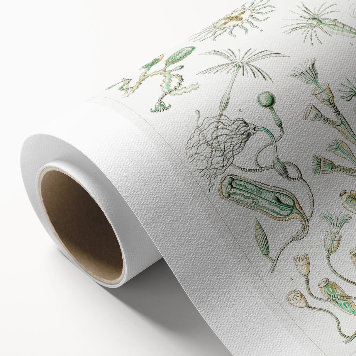 Modern Wall Art - Intricate Botanical Illustration in Elegant Green Hues