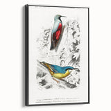 Romanticism Art: Vibrant Bird Illustration Canvas Print