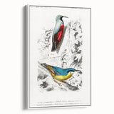 Romanticism Art: Vibrant Bird Illustration Canvas Print
