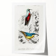 Romanticism Art: Vibrant Bird Illustration Canvas Print