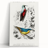 Romanticism Art: Vibrant Bird Illustration Canvas Print