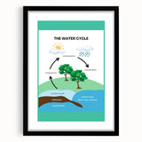 Classroom Educational Posters - The Water Cycle Learning Print