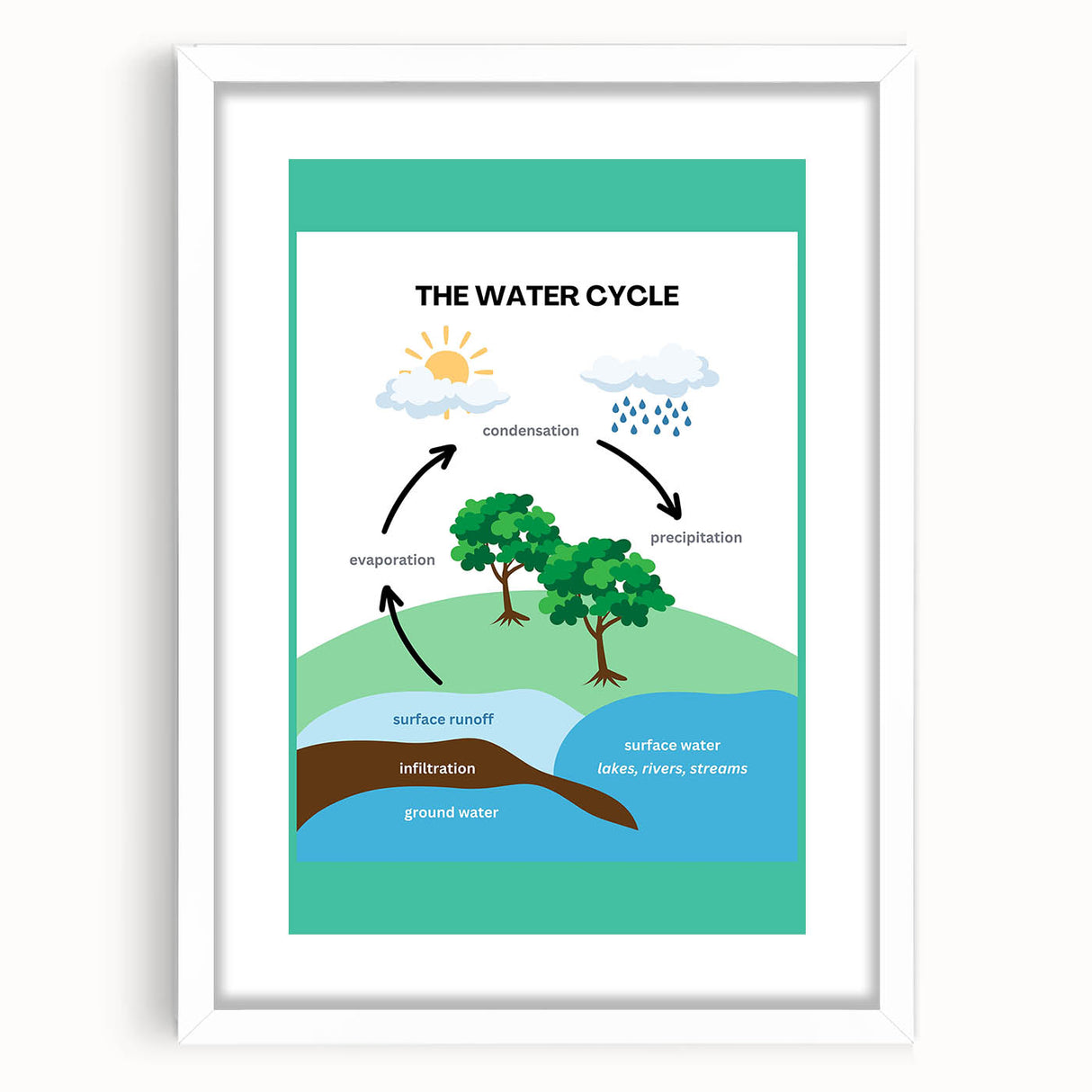 Classroom Educational Posters - The Water Cycle Learning Print
