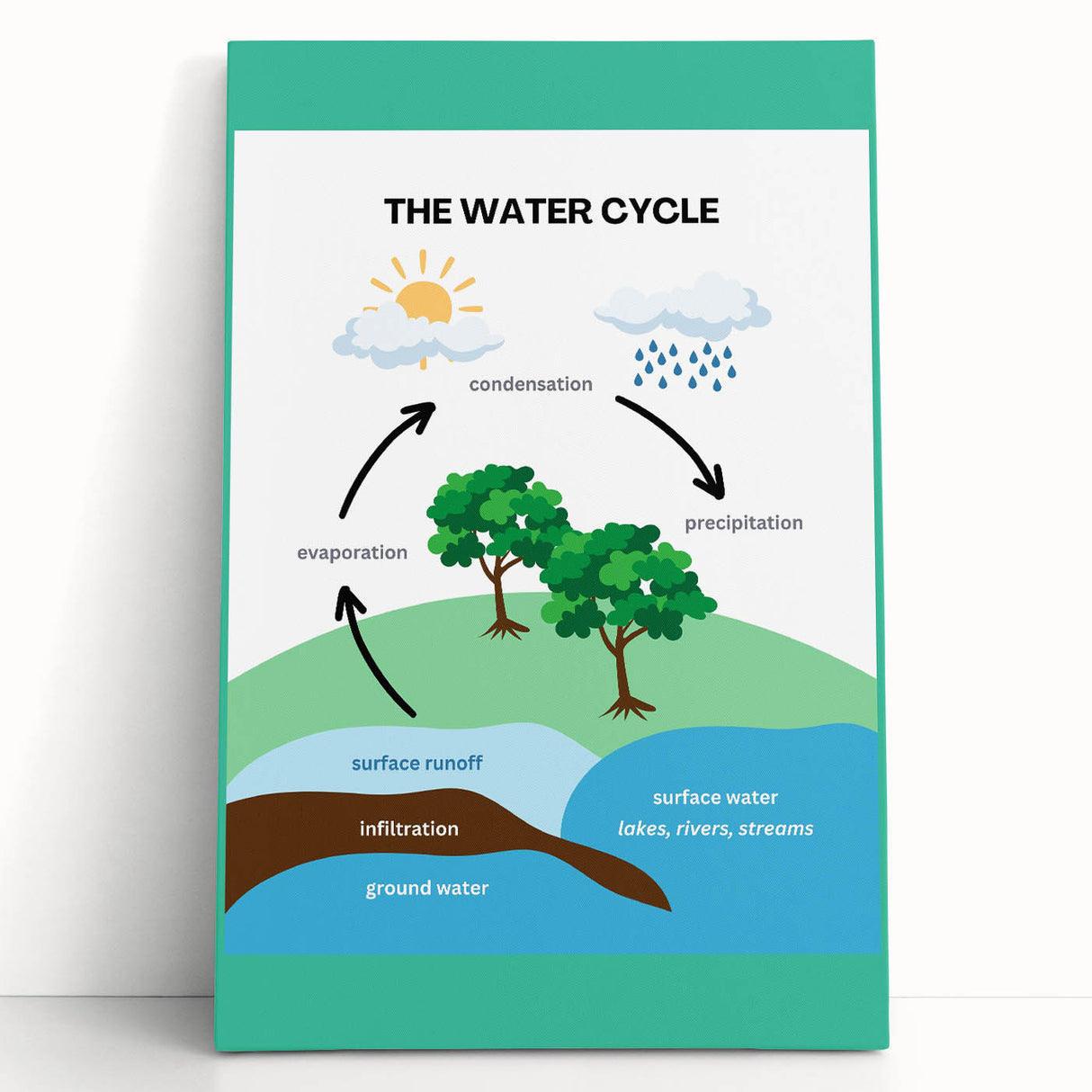 Classroom Educational Posters - The Water Cycle Learning Print