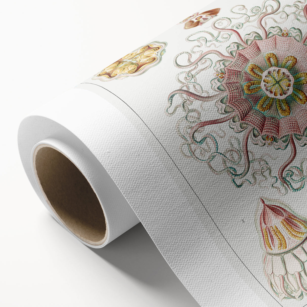 Modern Wall Art - Intricate Jellyfish Design in Pastel Tones