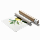 Neoclassical Botanical Print: Orange Tree by Redouté - Elegant Floral Art