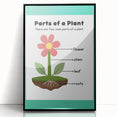 ABC Alphabet Canvas Art - Parts of a Plant Kids Learning Print