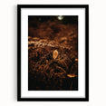 Extra large abstract art print featuring textured fall colors on a black framed canvas, ideal for living room decor.