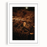 Abstract art print depicting autumnal trees in orange and yellow tones on a white framed canvas.
