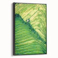 Black and white vintage poster art on framed canvas, featuring a spring landscape, ideal for bedroom wall decor.
