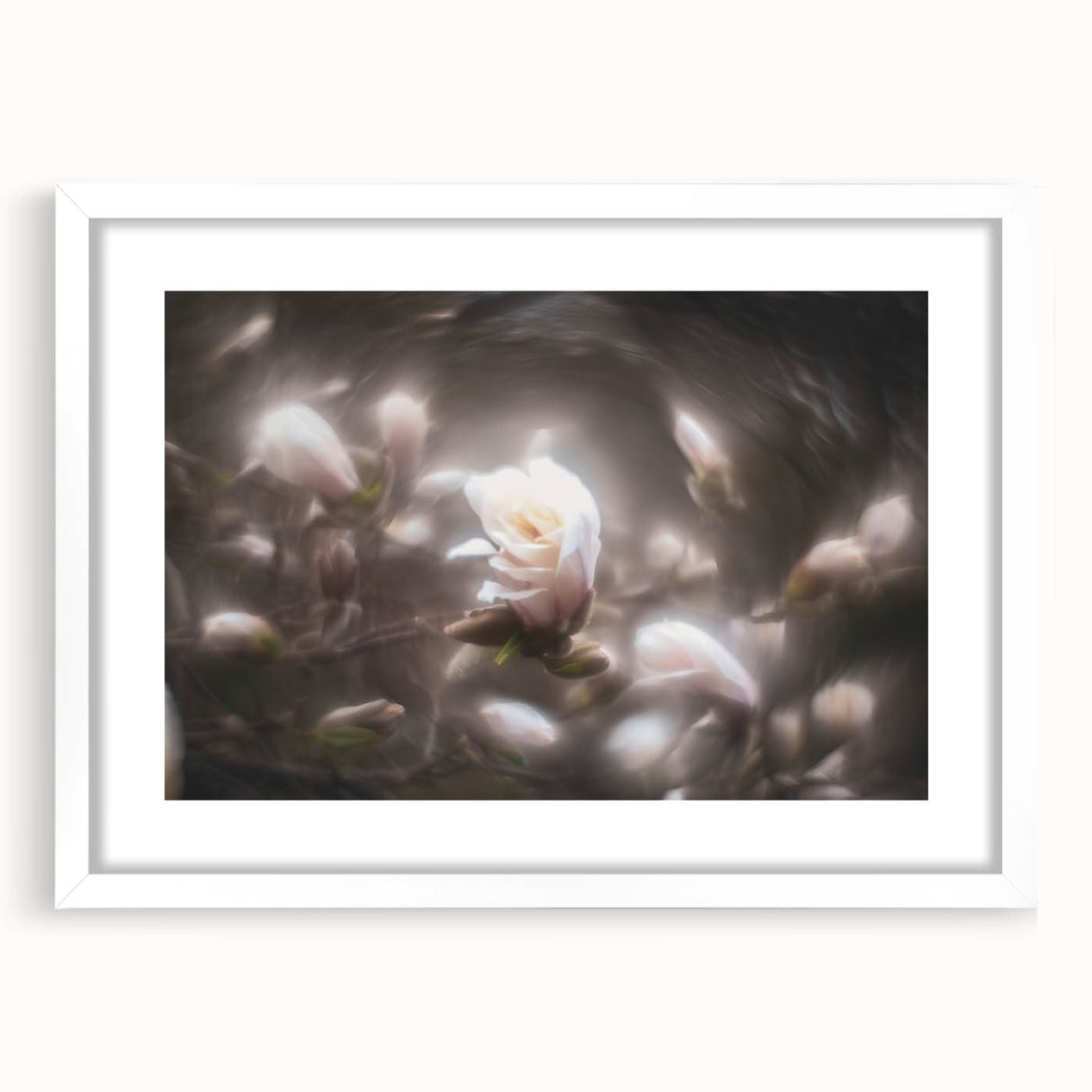 Whispers in Bloom – Ethereal Floral Motion Captured in Soft Focus