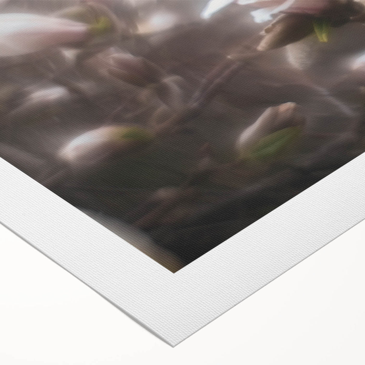 Whispers in Bloom – Ethereal Floral Motion Captured in Soft Focus