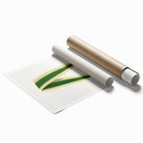 Romanticism Art: Yucca Filamentosa Leaf Illustration Canvas Print