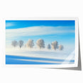 Scenic landscape print showcasing a vibrant countryside scene with rolling hills and lush greenery, rolled and ready for framing or display. Ideal for home decor and nature enthusiasts.
