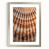 Textured abstract art print featuring close-up florals in soft pastel shades, framed in silver, ideal for bedroom wall decor.