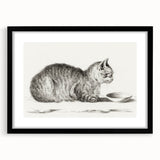 Famous Romantic Era Art: Brush Turkey - Historical Romantic Art Print