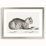 Famous Romantic Era Art: Brush Turkey - Historical Romantic Art Print