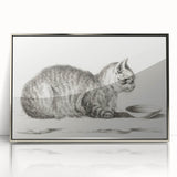 Famous Romantic Era Art: Brush Turkey - Historical Romantic Art Print