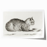 Famous Romantic Era Art: Brush Turkey - Historical Romantic Art Print