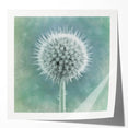 Extra large floral art on glossy photo print, featuring vivid pink and white flowers.