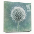 Acrylic glass print of large abstract floral design in vibrant colors, ideal for bedroom or dining room decor.