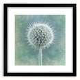 Extra large abstract art print featuring vibrant, colorful floral textures on a black framed canvas.