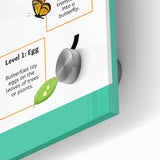 Kids Educational Wall Art - Life Cycle of a Butterfly Poster